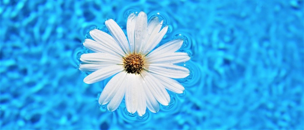 Loganholme Pool Safety Inspections What You Need to Know About Services Pool Safety Certificates